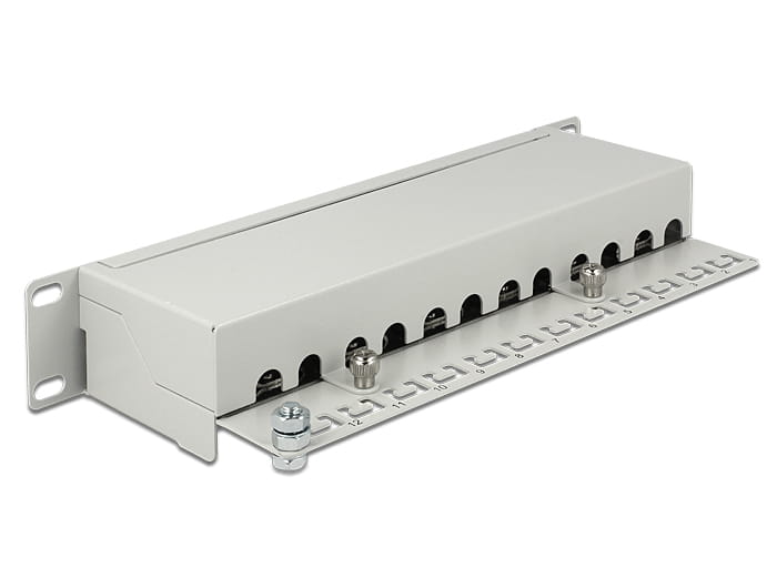 Delock Patch Panel - CAT 6 - RJ-45 X 12 - Hellgrau - 1U - 25.4 cm (10")