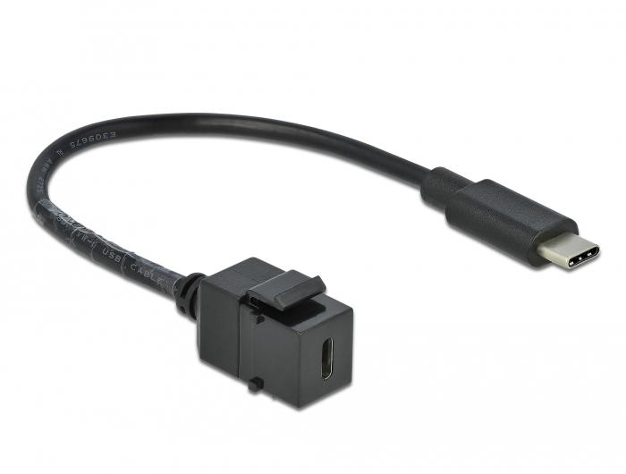 Delock Modulare Eingabe - USB Typ C - Schwarz