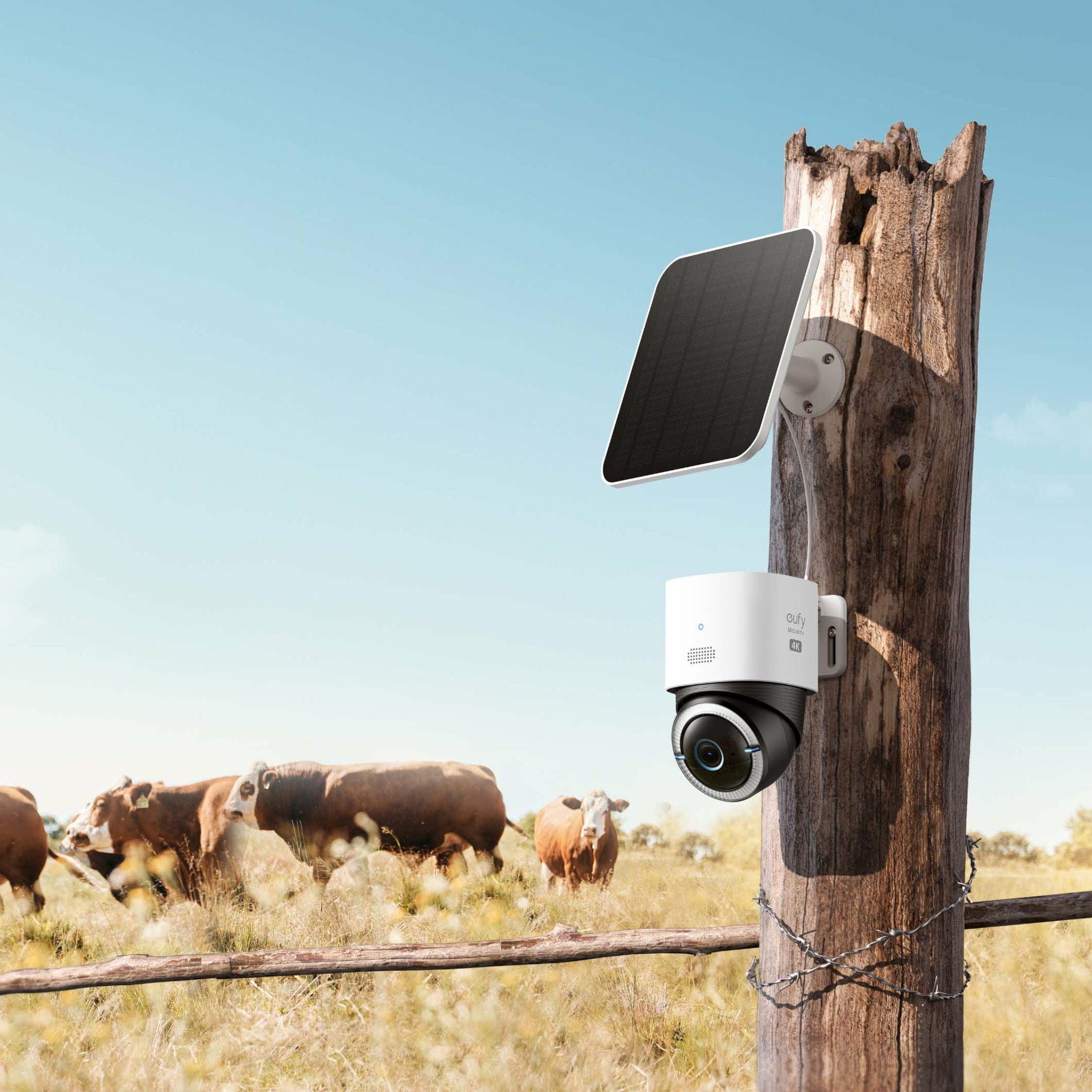 Anker Innovations Eufy S330 - Netzwerk-Überwachungskamera - schwenken / neigen - Außenbereich - staubbeständig/wasserfest - Farbe (Tag&Nacht)
