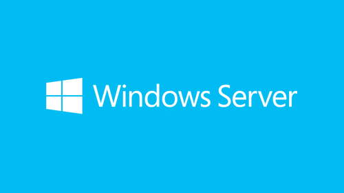 Microsoft Windows Server 2019 - Lizenz - 5 Geräte-CALs