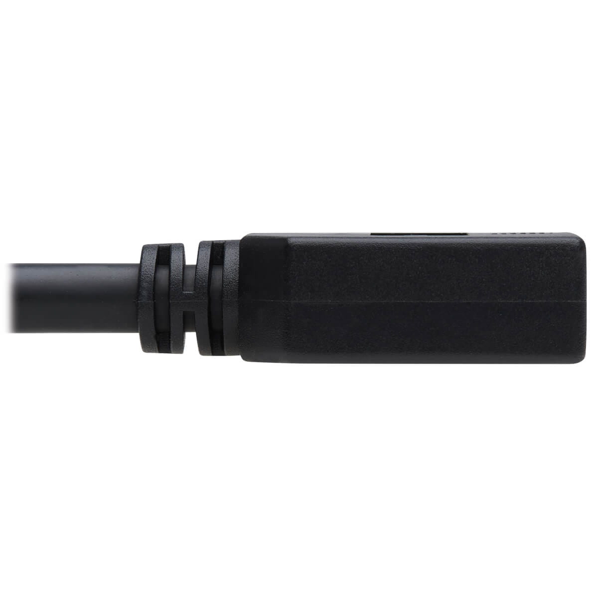 Tripp Eaton Tripp Lite Series DisplayPort Extension Cable with Latch, 4K @ 60 Hz, HDCP 2.2 (M/F)