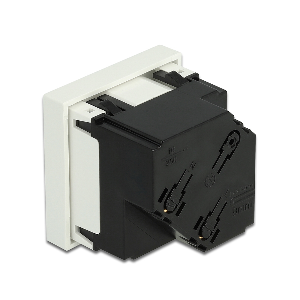 Delock Easy 45 - Steckdose - 2P - Typ F - mit