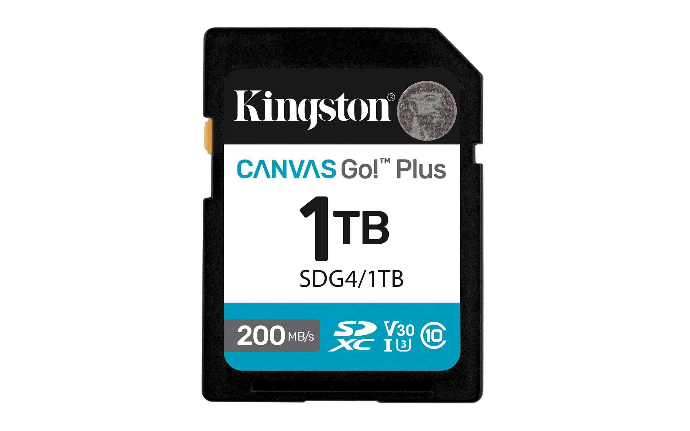Kingston Canvas Go! Plus - Flash-Speicherkarte