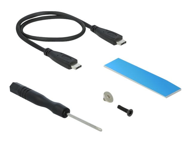 Delock Speichergehäuse - M.2 NVMe Card / PCIe (NVMe)