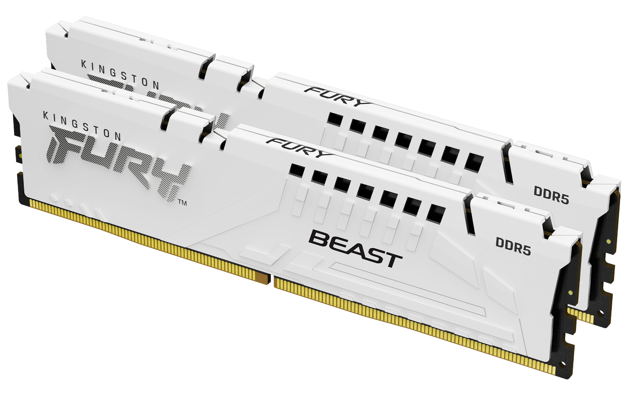 Kingston FURY Beast - DDR5 - Kit - 64 GB: 2 x
