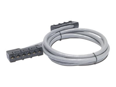 APC Netzwerkkabel - RJ-45 (W) zu RJ-45 (W)