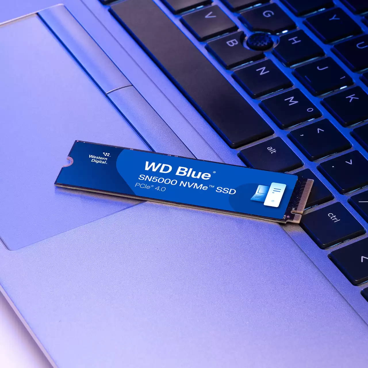 WD Blue SN5000 WDS500G4B0E - SSD - 500 GB - intern - M.2 2280 - PCIe 4.0 x4 (NVMe)