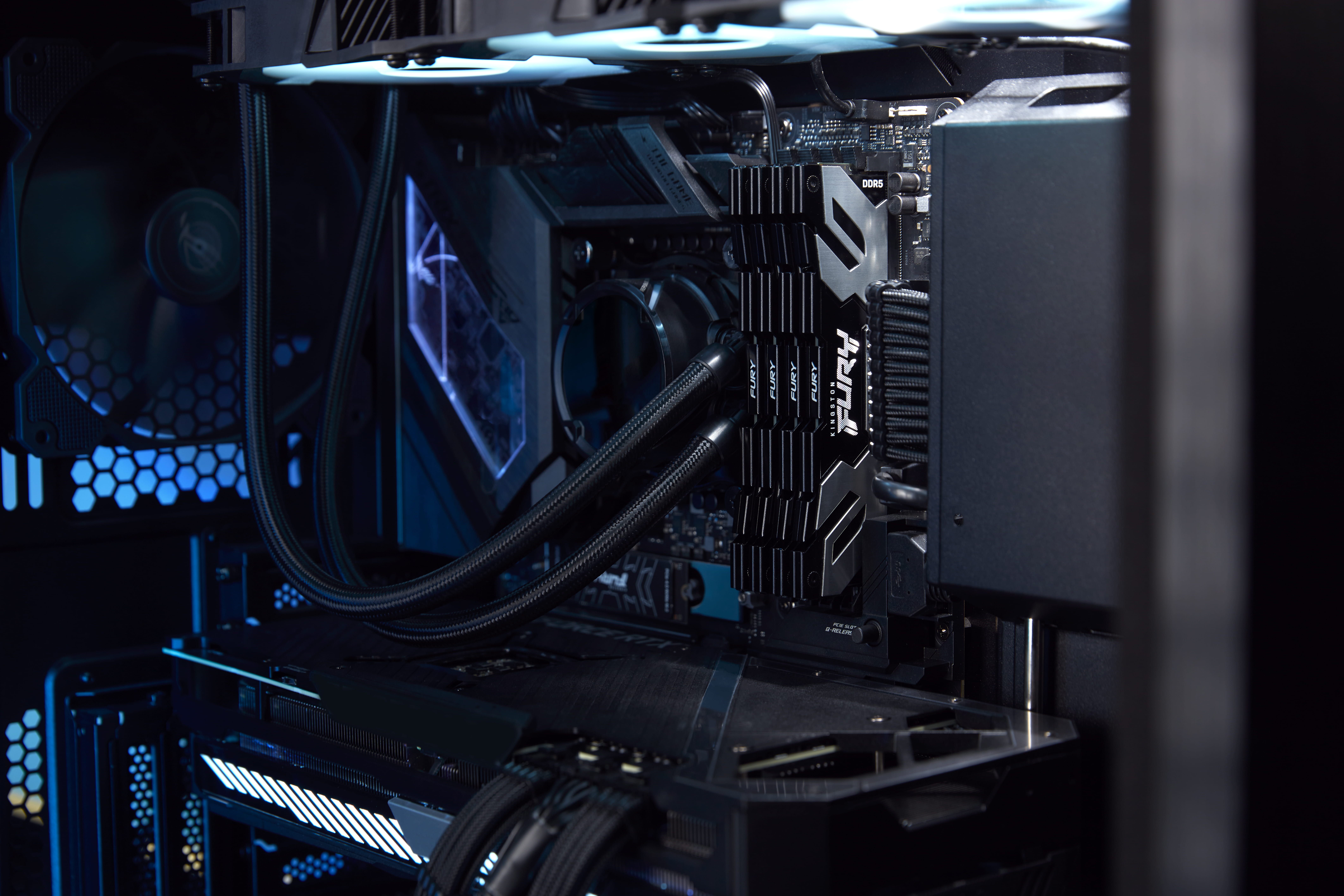 Kingston FURY Renegade - DDR5 - Modul - 32 GB