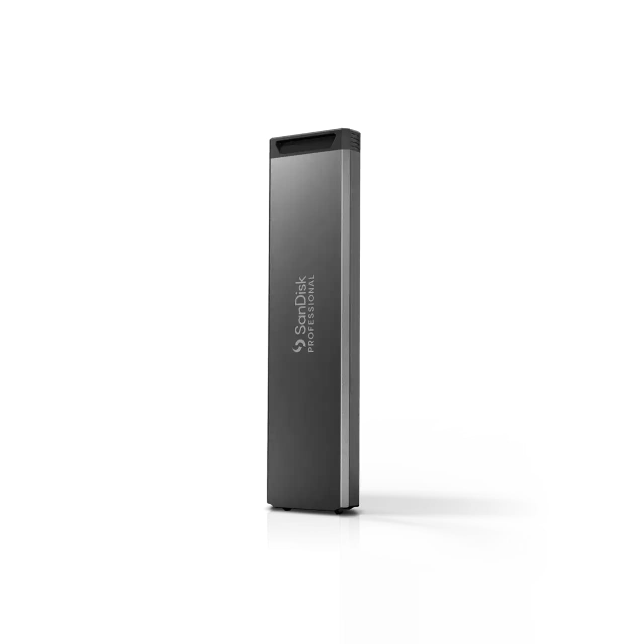SanDisk Professional PRO-BLADE SSD Mag - SSD - 1 TB - extern (tragbar)