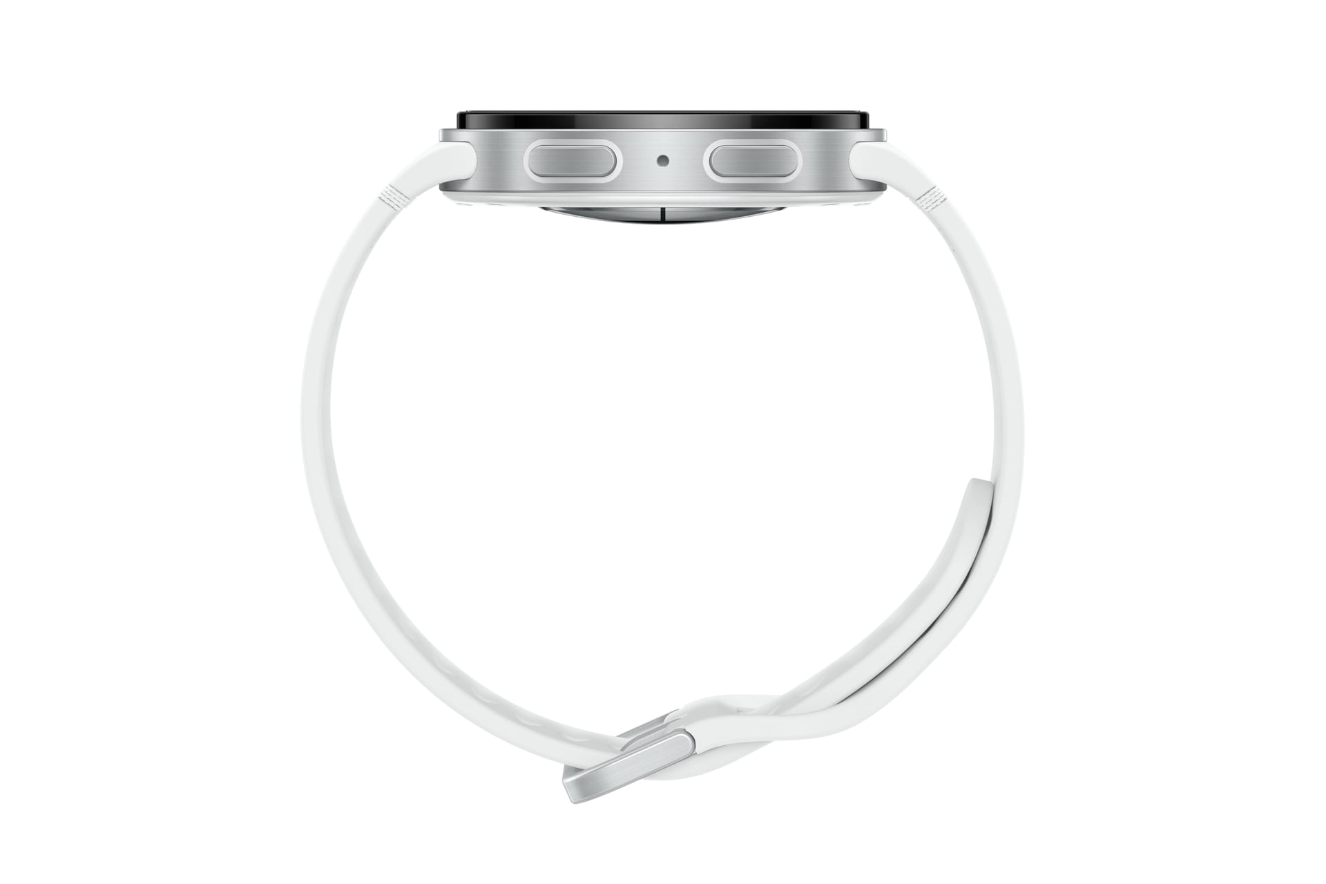 Samsung Galaxy Watch8 - 44 mm - silber - intelligente Uhr mit Sportband - Gummi - weiß - Bandgröße: M/L - Anzeige 3.7 cm (1.47")