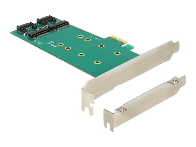 Delock PCI Express Card > 2 x internal M.2