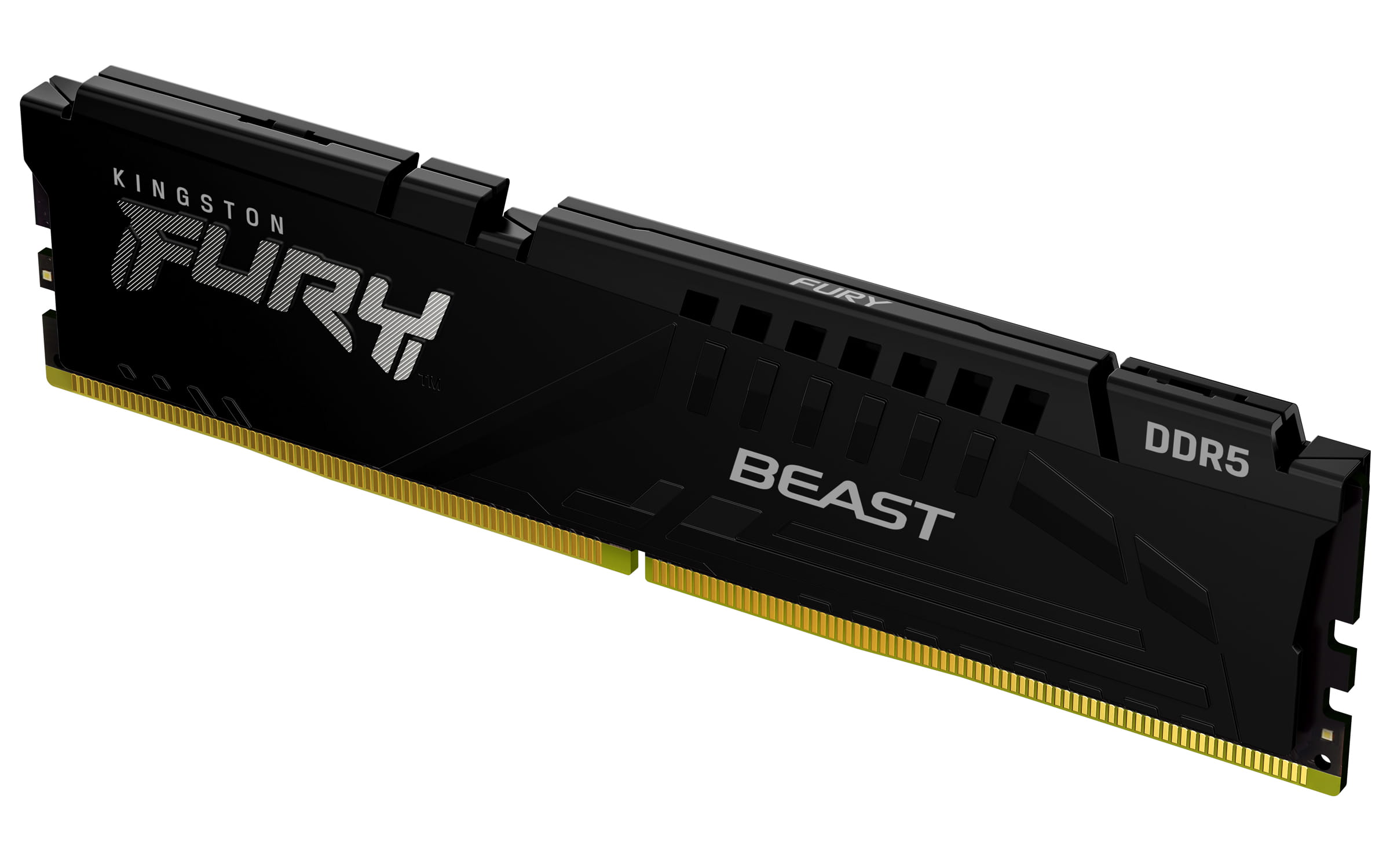 Kingston FURY Beast - DDR5 - Modul - 16 GB