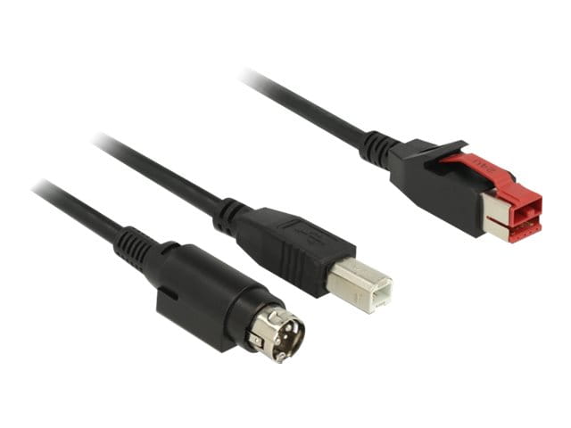 Delock Powered USB-Kabel - USB PlusPower (24 V)
