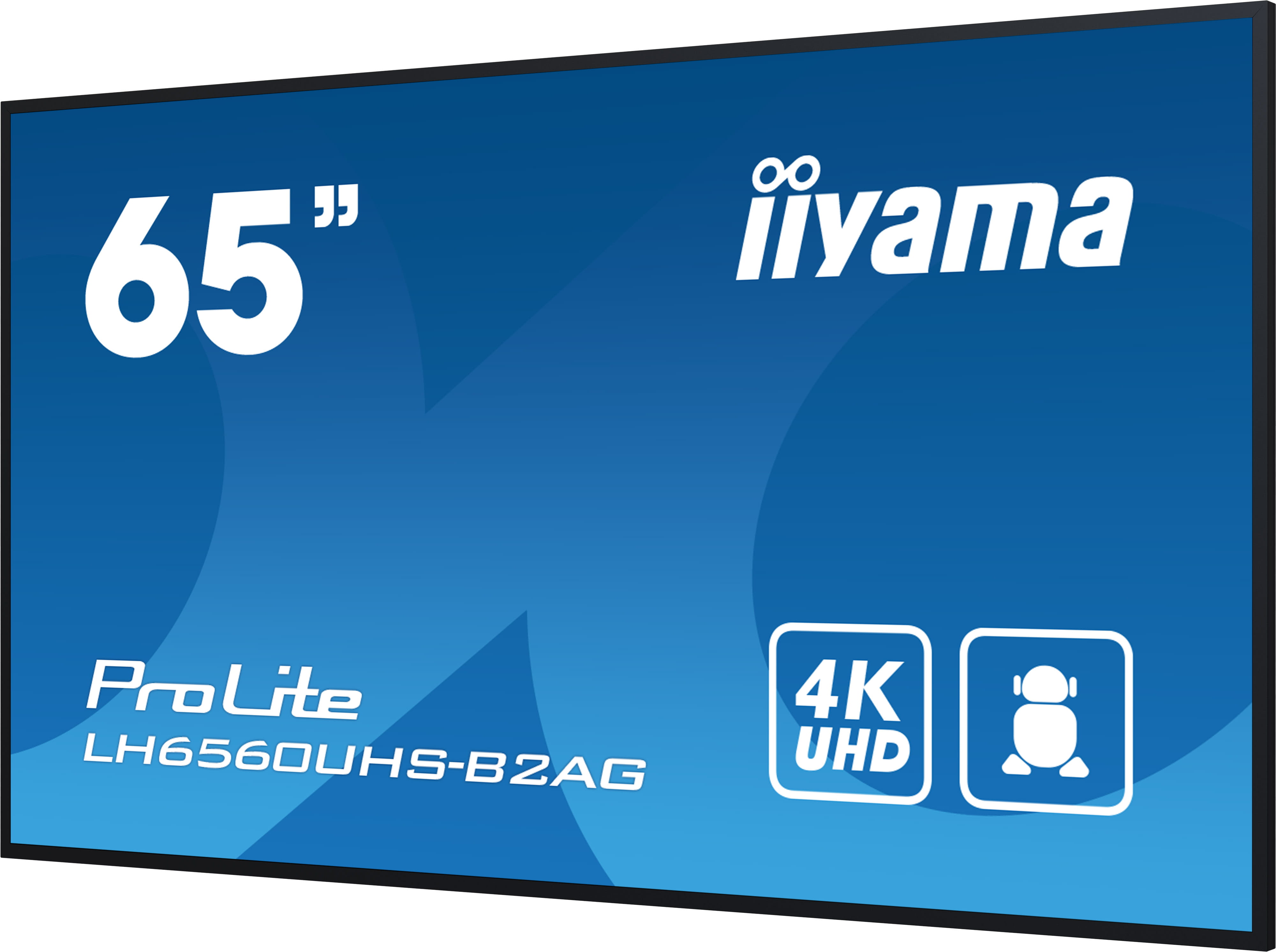 Iiyama ProLite LH6560UHS-B2AG - 165 cm (65") Diagonalklasse (164 cm (64.5")