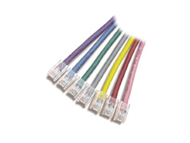 APC Patch-Kabel - RJ-45 (M) zu RJ-45 (M) - 30.5 m