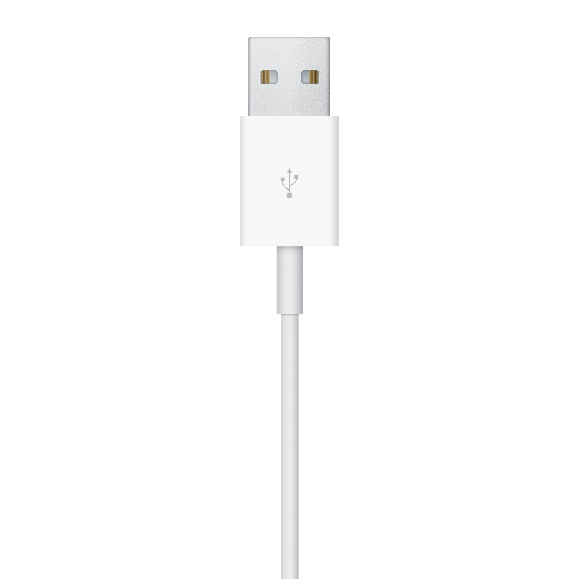 Apple Ladekabel für Smartwatch - USB männlich