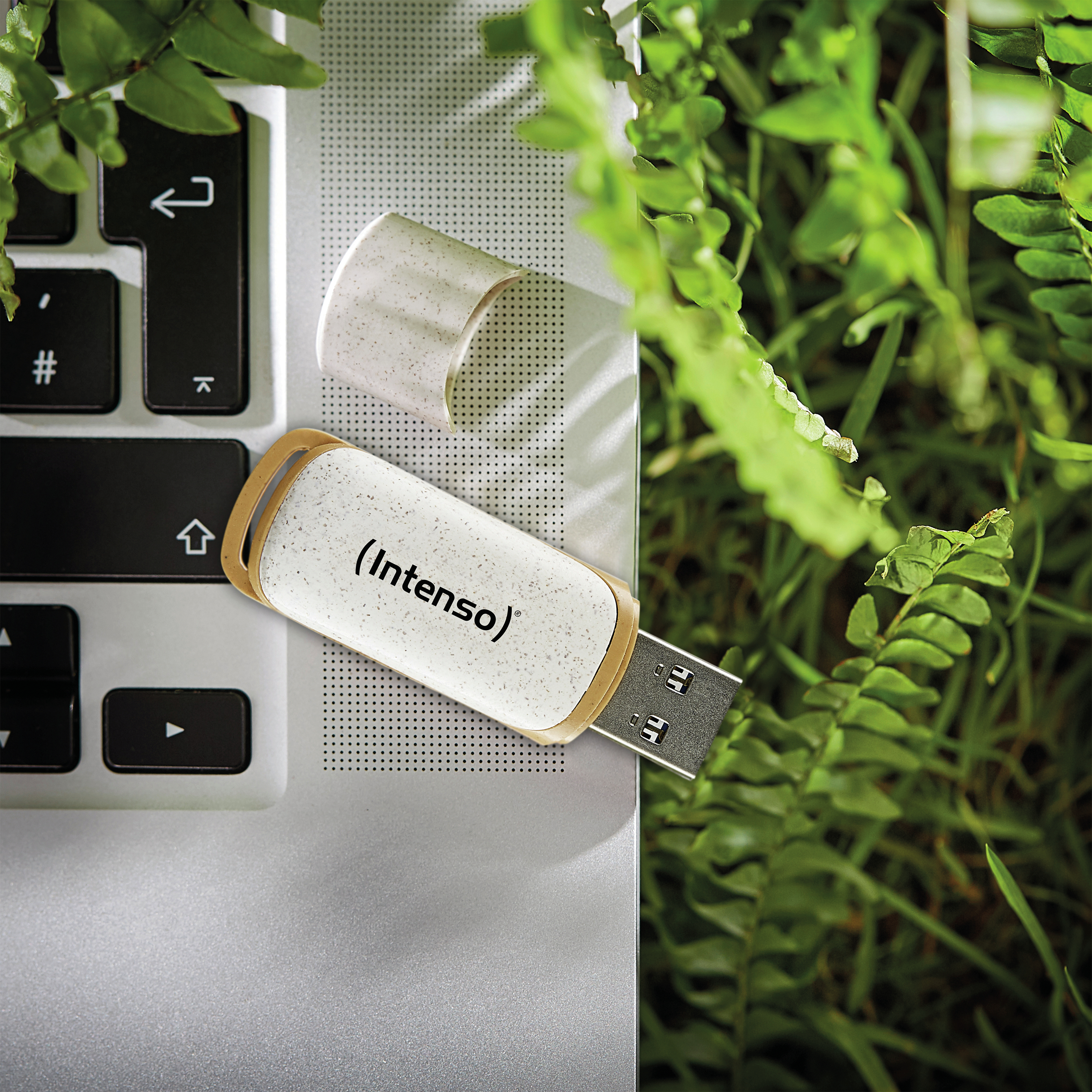 Intenso Green Line - USB-Flash-Laufwerk - 64