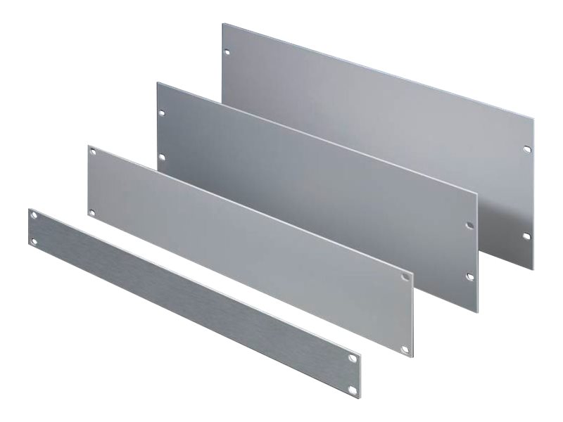 Rittal Rack - Leerkonsole - 4U - 48.3 cm (19")