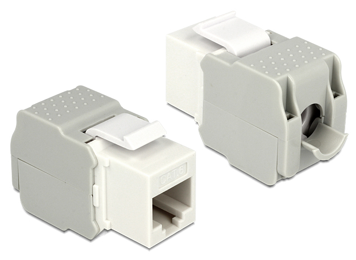 Delock Modulare Eingabe - CAT 6 - UTP - RJ-45