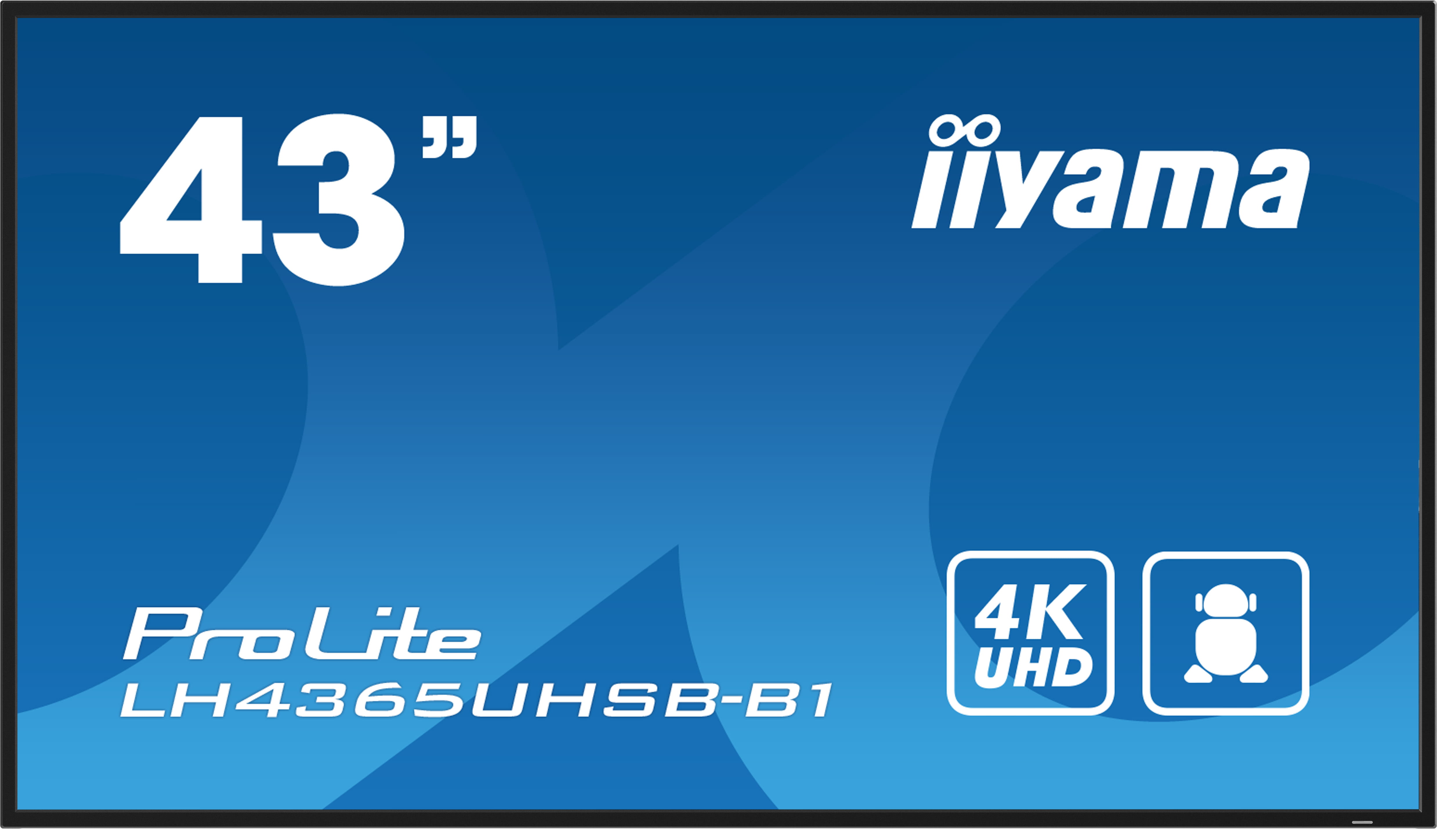 Iiyama ProLite LH4365UHSB-B1 - 109 cm (43") Diagonalklasse (108 cm (42.5")