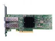 Fsas Technologies FUJITSU PLAN EP P210P - Netzwerkadapter - PCIe