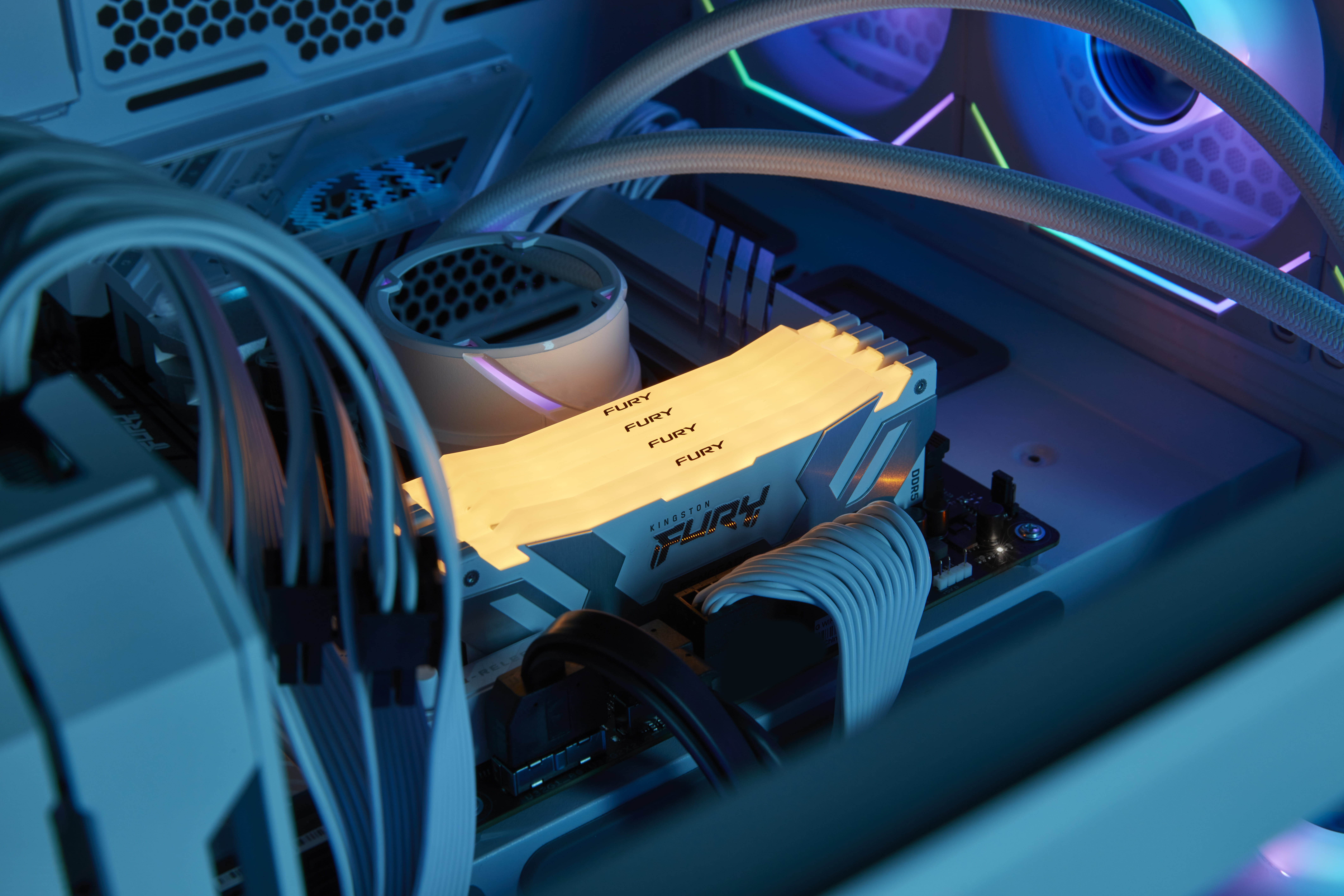 Kingston FURY Renegade RGB - DDR5 - Modul - 16