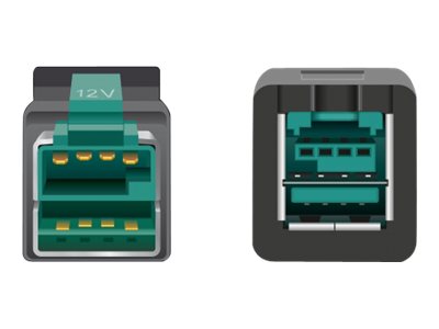 Delock PoweredUSB Verlängerungskabel - USB PlusPower (12 V)