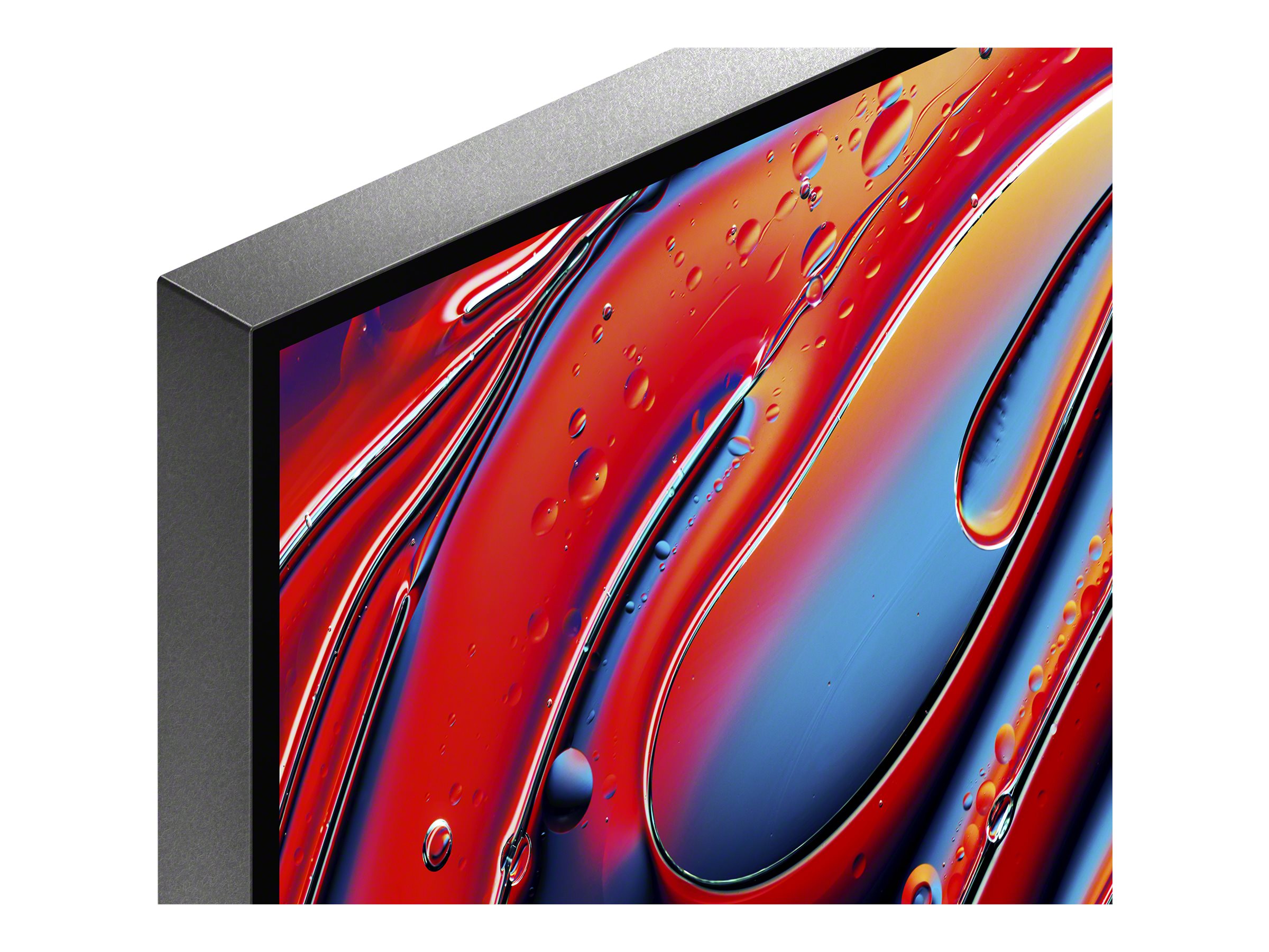 Sony Bravia 9 Professional Displays FWD-65XR90 - 164 cm (65")