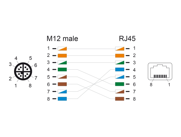 Delock Netzwerkadapterkabel - 8 pin M12-X (M)