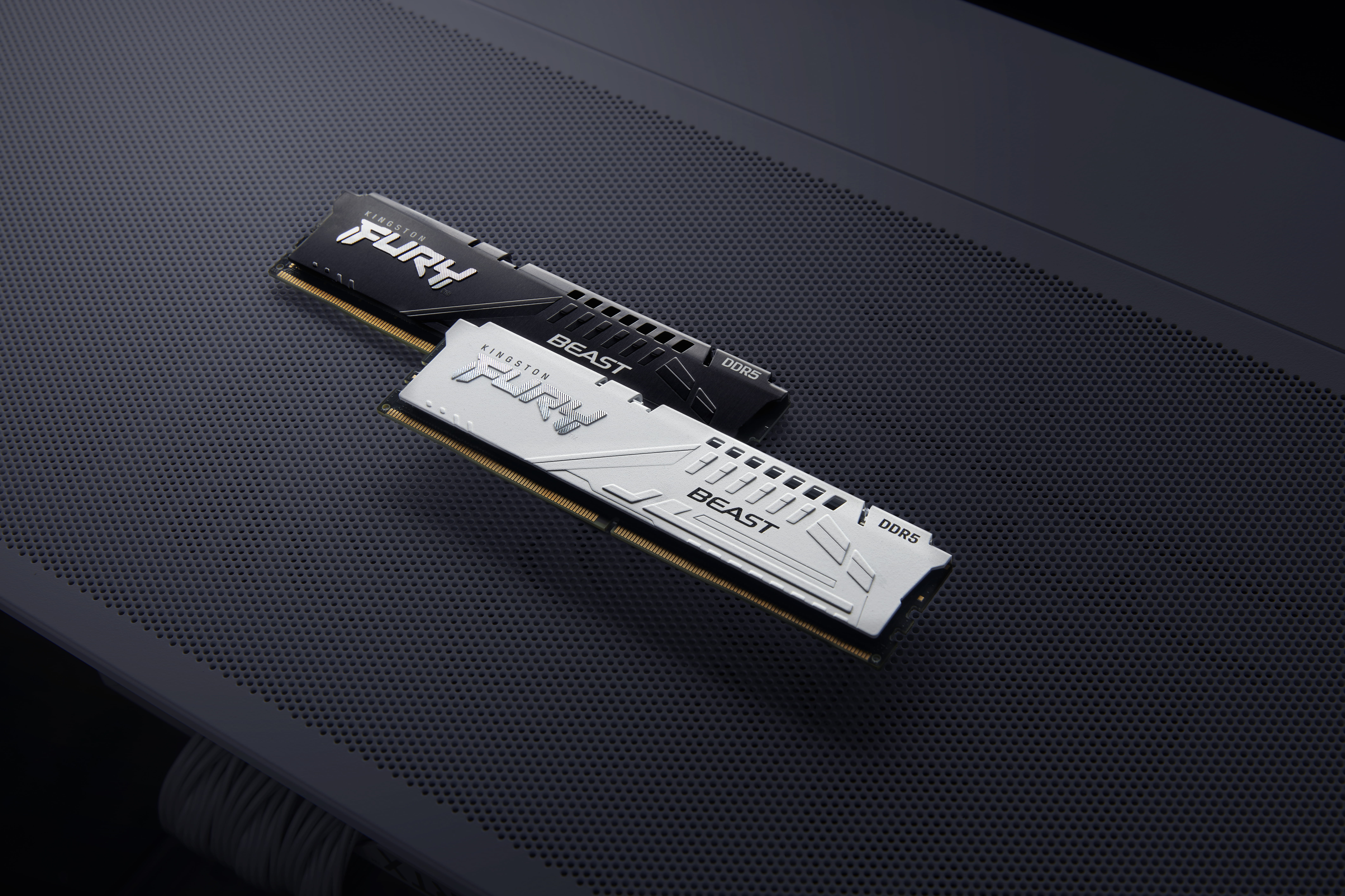 Kingston FURY Beast - DDR5 - Modul - 16 GB