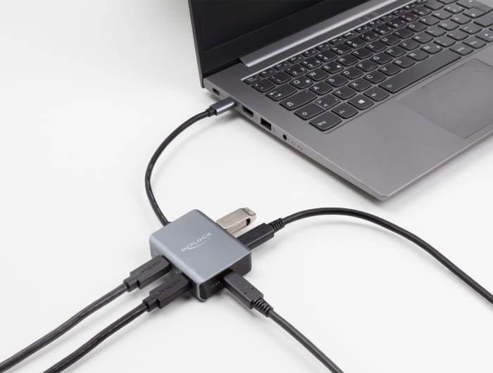 Delock Hub - 10 Gbps, mit USB-C-Anschluss - 4 x USB-C 3.2 Gen 2