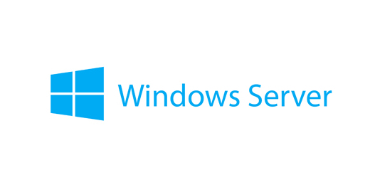 Lenovo Microsoft Windows Server 2025 Standard - Lizenz