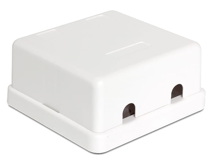 Delock Keystone Surface Mounted Box - Gehäuse