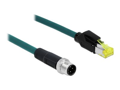 Delock Netzwerkkabel - M12 (4-polig) (M) zu RJ-45 (M)