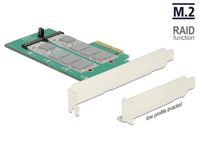 Delock PCI Express Card > 2 x internal M.2 Key