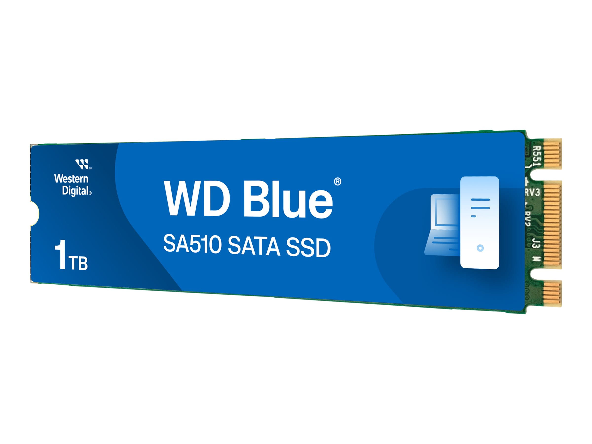 WD Blue SA510 WDS100T3B0B - SSD - 1 TB - intern