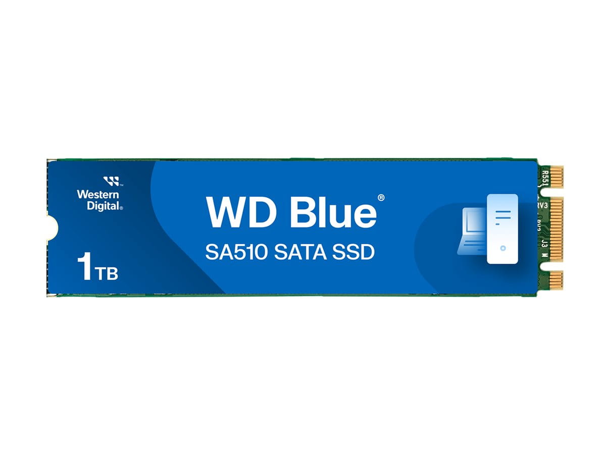 WD Blue SA510 WDS100T3B0B-00AXS0 - SSD - 1 TB
