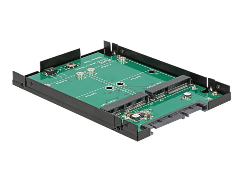 Delock Speichercontroller (RAID) - mSATA