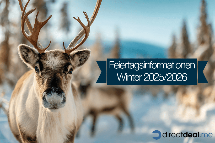 Feiertagsinformationen_directdeal_winter-edition