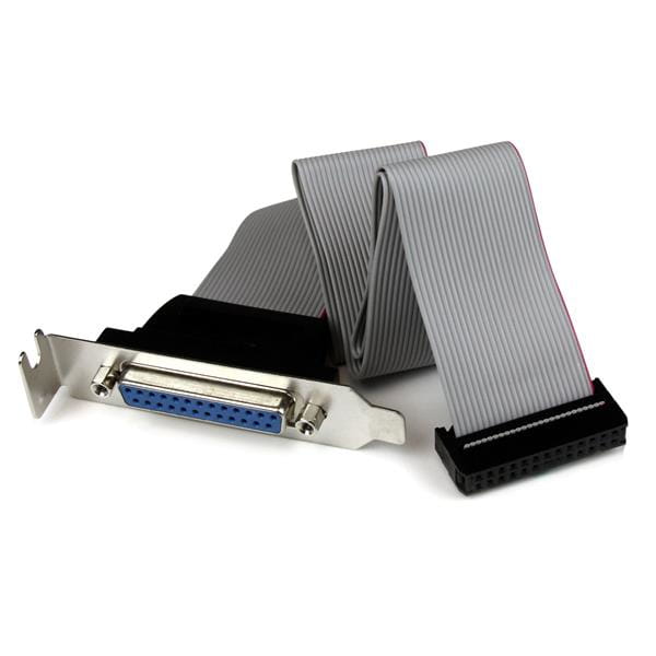 StarTech.com Low Profile IDC 26 (Buchse) auf DB25 (Buchse)