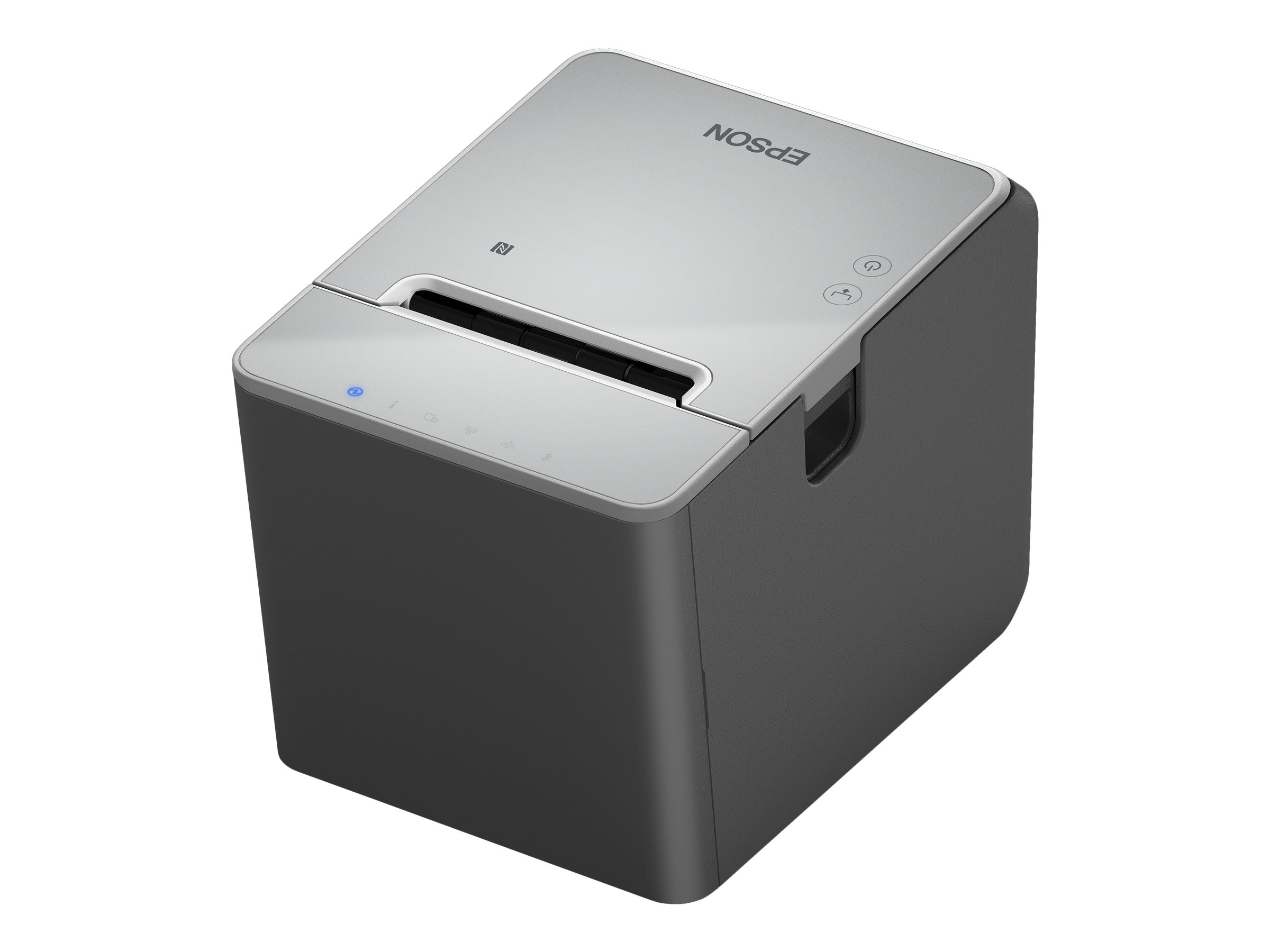Epson TM L100 (111) - Belegdrucker - Thermozeile