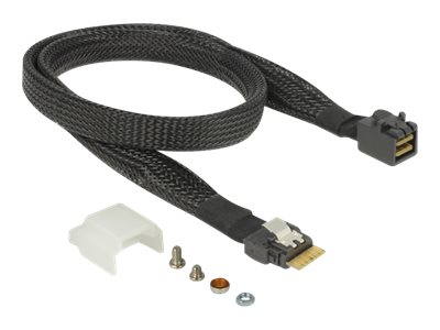 Delock U.2 SFF-8654 or SATA Converter to 1 x