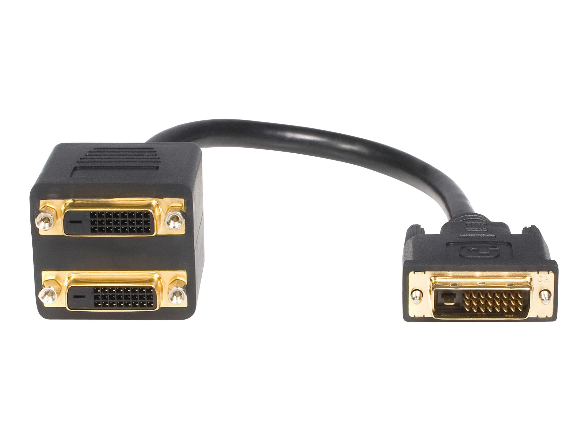 StarTech.com DVI-D auf 2x DVI-D 30cm Splitter