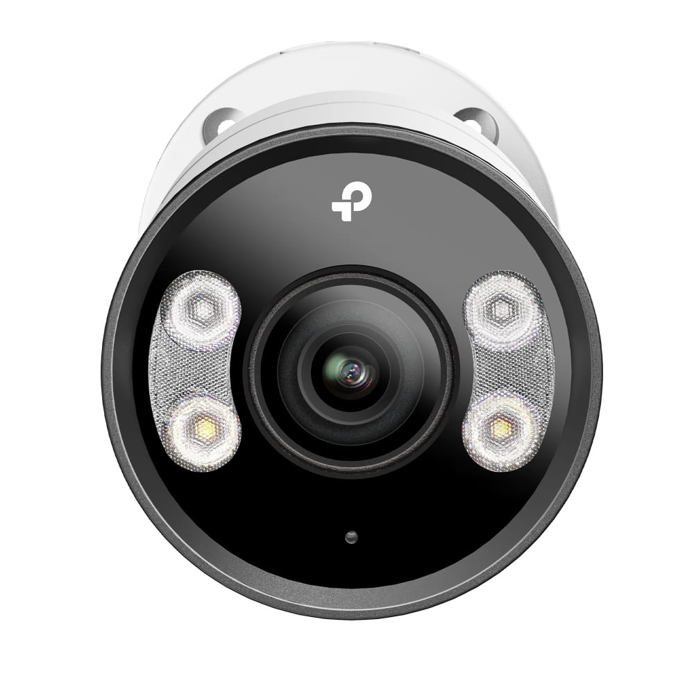 TP-LINK VIGI C355 V1 - Netzwerk-Überwachungskamera - schwenken / neigen - Kugel - Außenbereich - wasserfest - Farbe (Tag&Nacht)