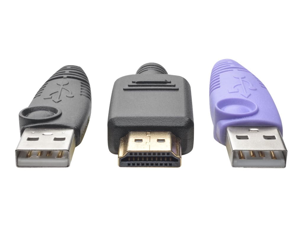 Tripp Eaton Tripp Lite Series HDMI USB Server Interface