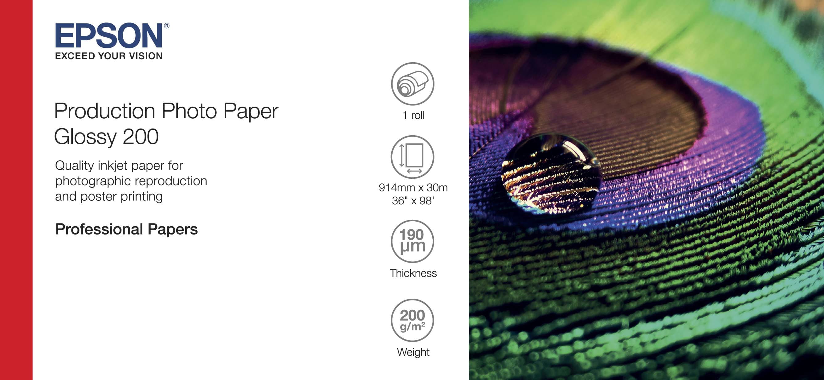 Epson Production - Polyethylen (PE) - glänzend - mikroporös - 200 Mikron - Rolle (91,4 cm x 30 m)