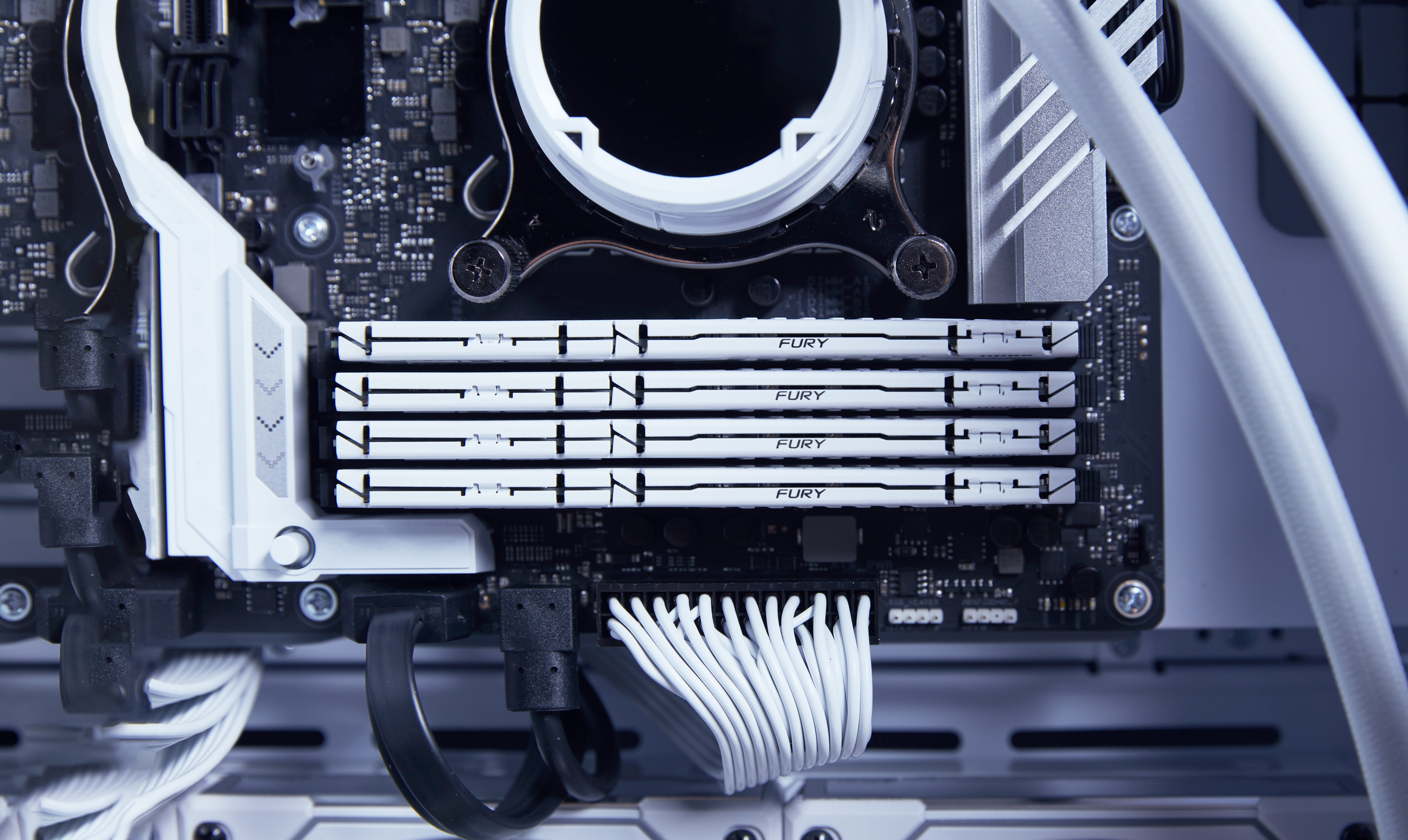 Kingston FURY Beast - DDR5 - Modul - 32 GB