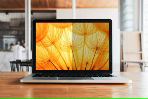 3M Blickschutzfilter für Notebook - heller Bildschirm, 16:10 - klebend - 33.7 cm (13.3")