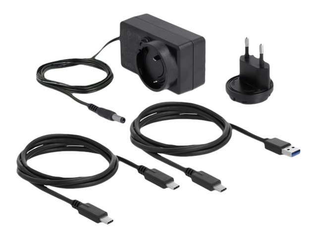 Delock HDD-Dockingstation Schächte: 1 - 2,5" / 3,5" gemeinsam genutzt (6,4 cm/8,9 cm gemeinsam genutzt)