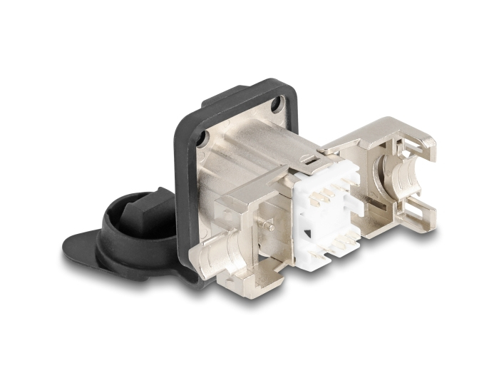 Delock Modulare Eingabe - D-Type, with protective